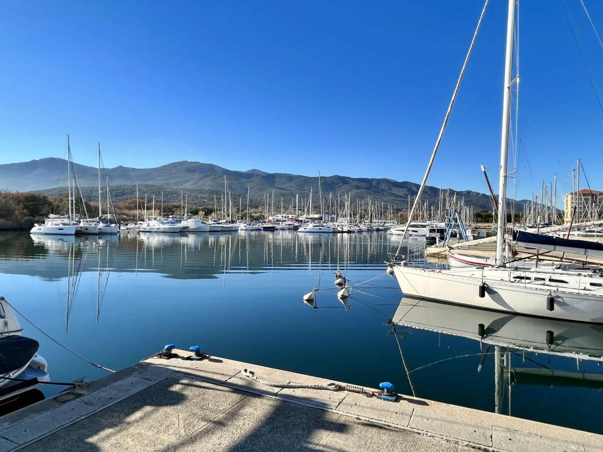 Appartement 3 Pieces Avec Terrasse Et Jardin, Proche Plage Et Commerces, 2 Parkings, Argeles-Sur-Mer - Fr-1-225-773 Екстериор снимка